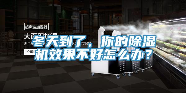 冬天到了，你的91免费网站在线观看效果不好怎么办？