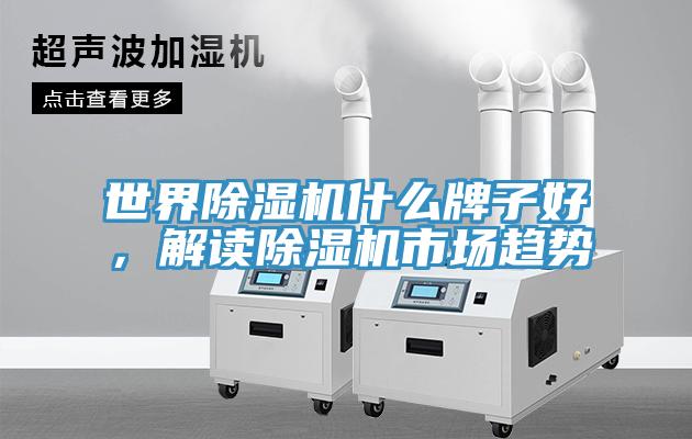 世界91免费网站在线观看什么牌子好，解读91免费网站在线观看市场趋势
