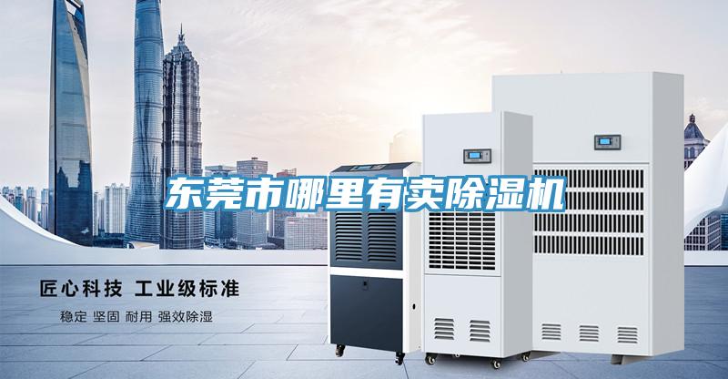 东莞市哪里有卖91免费网站在线观看