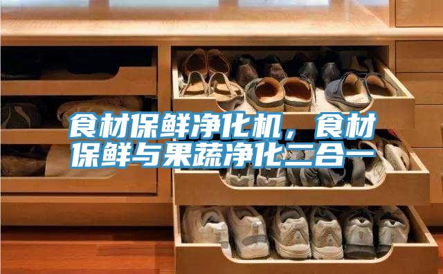 食材保鲜净化机，食材保鲜与果蔬净化二合一