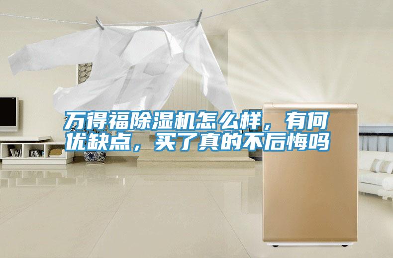 万得福91免费网站在线观看怎么样，有何优缺点，买了真的不后悔吗