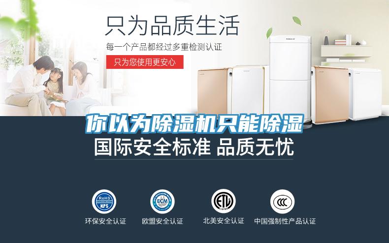你以为91免费网站在线观看只能除湿