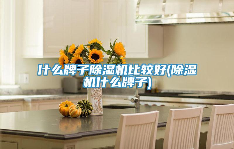 什么牌子91免费网站在线观看比较好(91免费网站在线观看什么牌子)