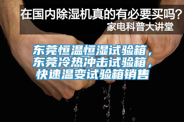 东莞恒温恒湿试验箱，东莞冷热冲击试验箱，快速温变试验箱销售