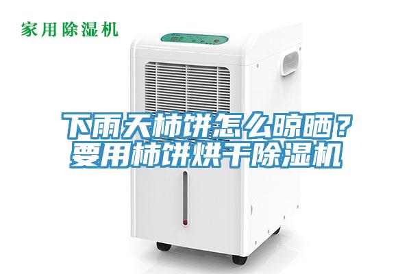 下雨天柿饼怎么晾晒？要用柿饼烘干91免费网站在线观看