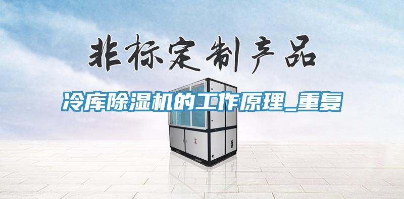 冷库91免费网站在线观看的工作原理_重复