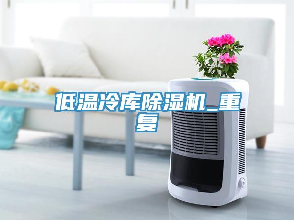 低温冷库91免费网站在线观看_重复