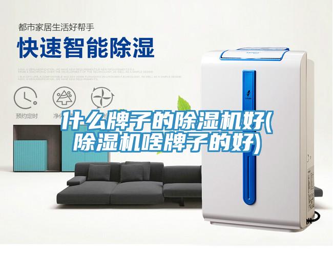 什么牌子的91免费网站在线观看好(91免费网站在线观看啥牌子的好)