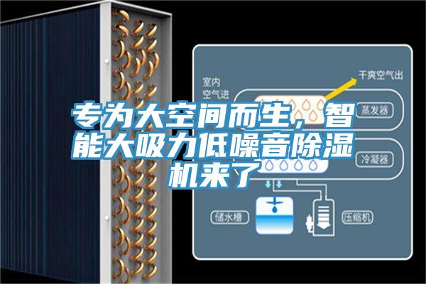 专为大空间而生，智能大吸力低噪音91免费网站在线观看来了