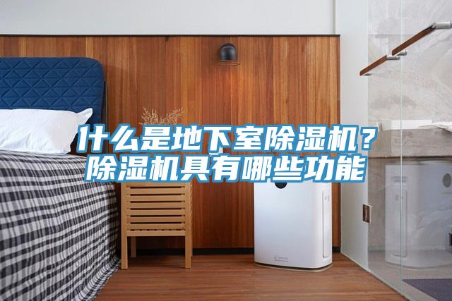 什么是地下室91免费网站在线观看？91免费网站在线观看具有哪些功能