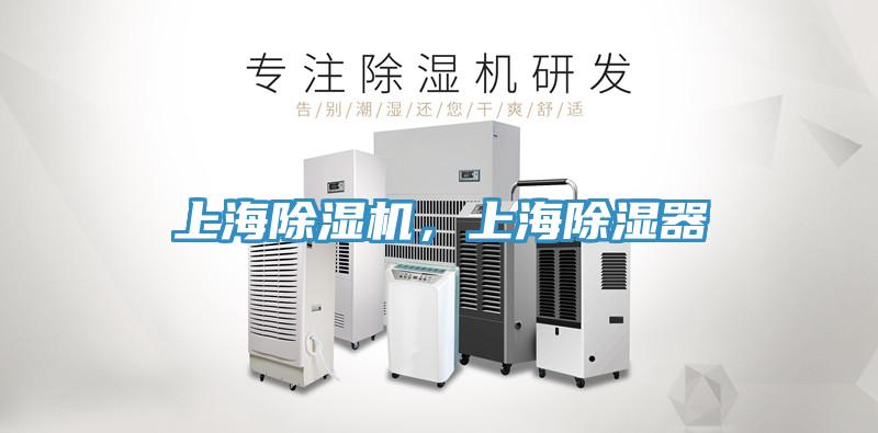 上海91免费网站在线观看，上海除湿器
