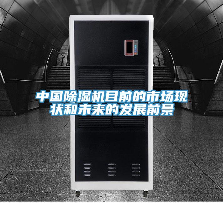 中国91免费网站在线观看目前的市场现状和未来的发展前景