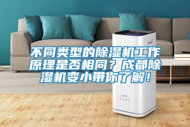 不同类型的91免费网站在线观看工作原理是否相同？成都91免费网站在线观看变小带你了解！
