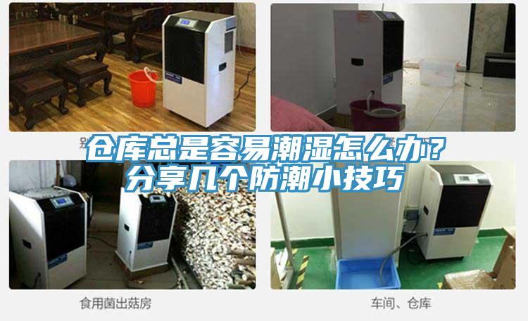仓库总是容易潮湿怎么办？分享几个防潮小技巧