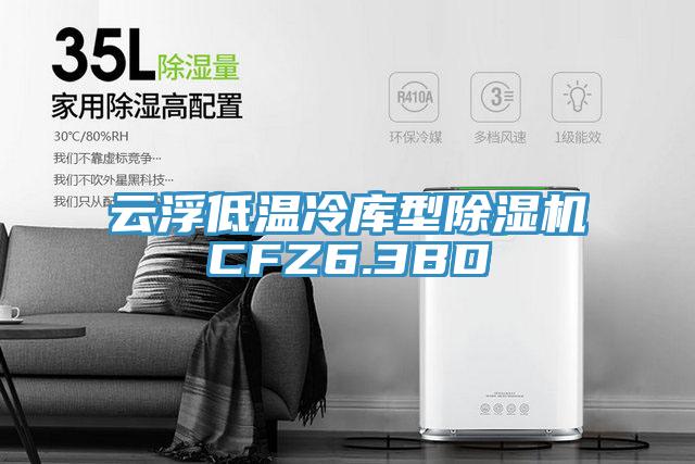 云浮低温冷库型91免费网站在线观看CFZ6.3BD