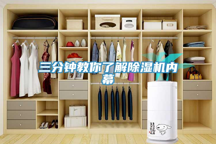 三分钟教你了解91免费网站在线观看内幕