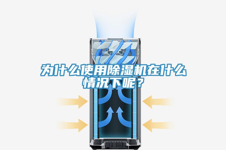 为什么使用91免费网站在线观看在什么情况下呢？