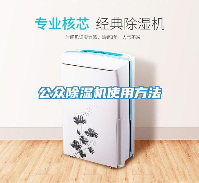 公众91免费网站在线观看使用方法