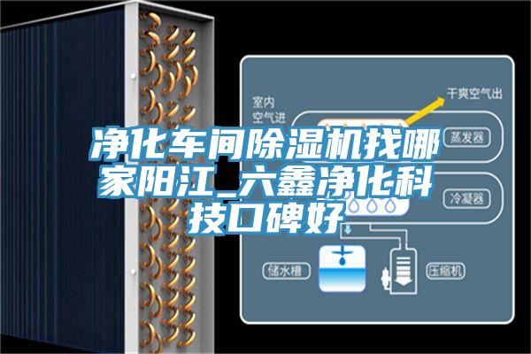 净化车间91免费网站在线观看找哪家阳江_六鑫净化科技口碑好