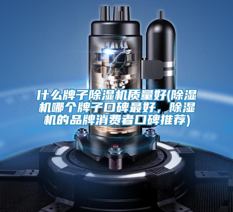 什么牌子91免费网站在线观看质量好(91免费网站在线观看哪个牌子口碑最好，91免费网站在线观看的品牌消费者口碑推荐)