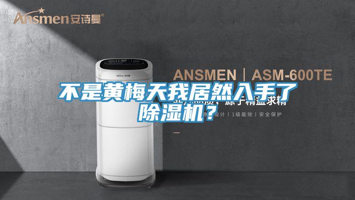 不是黄梅天我居然入手了91免费网站在线观看？