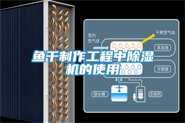 鱼干制作工程中91免费网站在线观看的使用