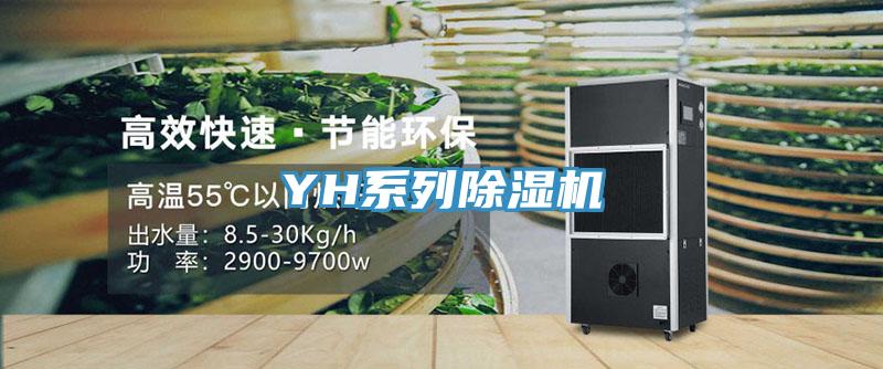YH系列91免费网站在线观看