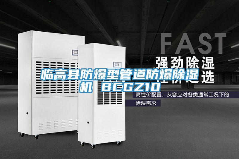 临高县防爆型管道防爆91免费网站在线观看 BCGZ10
