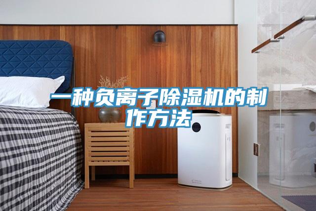 一种负离子91免费网站在线观看的制作方法