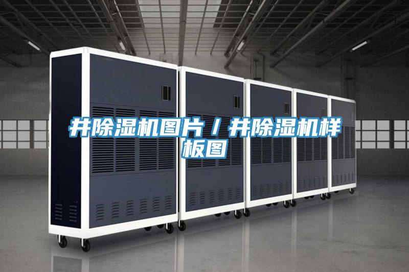 井91免费网站在线观看图片／井91免费网站在线观看样板图