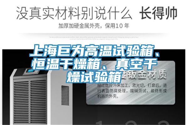 上海巨为高温试验箱、恒温干燥箱、真空干燥试验箱