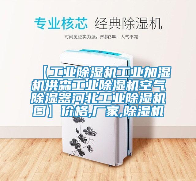 【工业91免费网站在线观看工业加湿机洪森工业91免费网站在线观看空气除湿器河北工业91免费网站在线观看图】价格,厂家,91免费网站在线观看