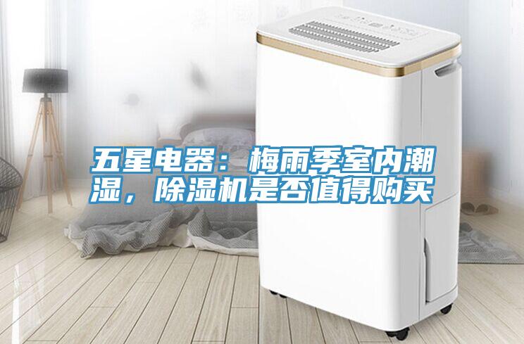 五星电器：梅雨季室内潮湿，91免费网站在线观看是否值得购买