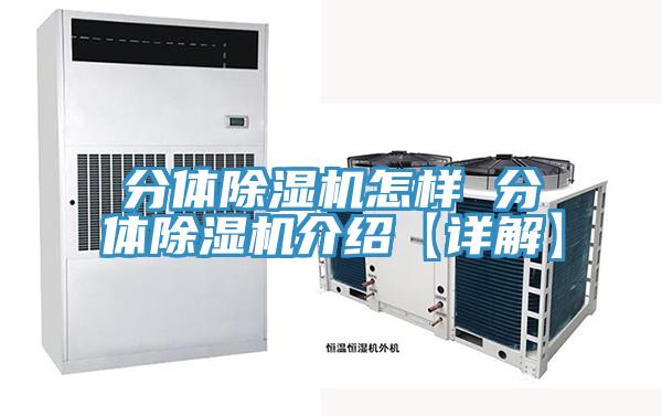 分体91免费网站在线观看怎样 分体91免费网站在线观看介绍【详解】
