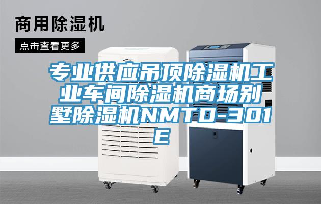 专业供应吊顶91免费网站在线观看工业车间91免费网站在线观看商场别墅91免费网站在线观看NMTD-301E