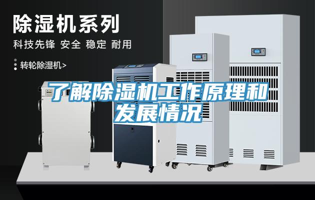 了解91免费网站在线观看工作原理和发展情况
