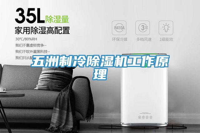 五洲制冷91免费网站在线观看工作原理