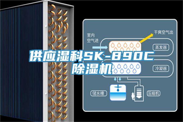 供应湿科SK-890C91免费网站在线观看