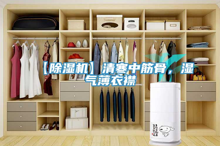 【91免费网站在线观看】清寒中筋骨，湿气薄衣襟