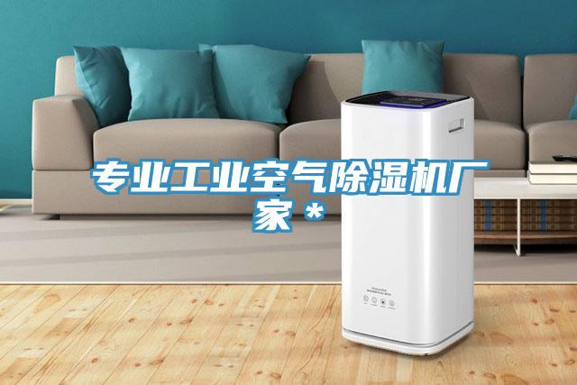 专业工业空气91免费网站在线观看厂家＊