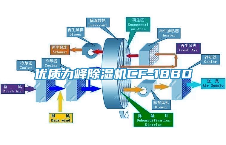 优质力峰91免费网站在线观看CF-18BD