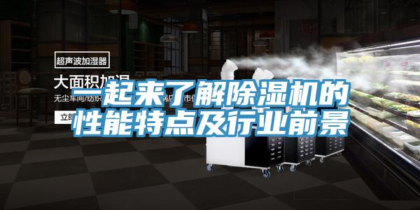 一起来了解91免费网站在线观看的性能特点及行业前景
