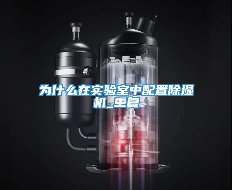 为什么在实验室中配置91免费网站在线观看_重复