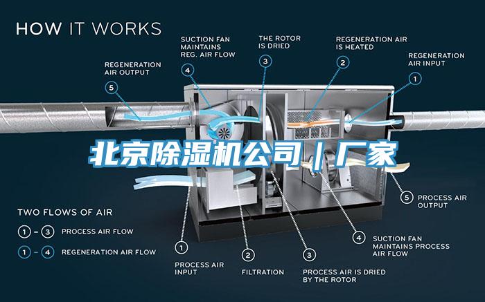 北京91免费网站在线观看公司｜厂家