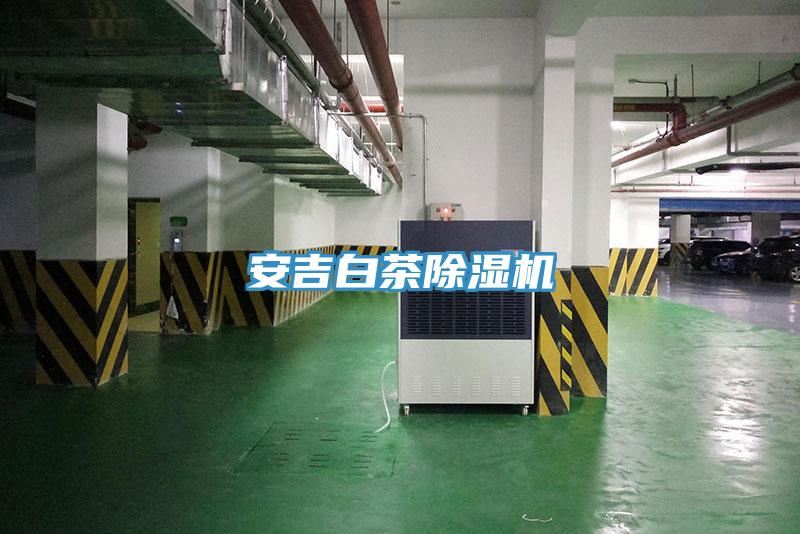 安吉白茶91免费网站在线观看