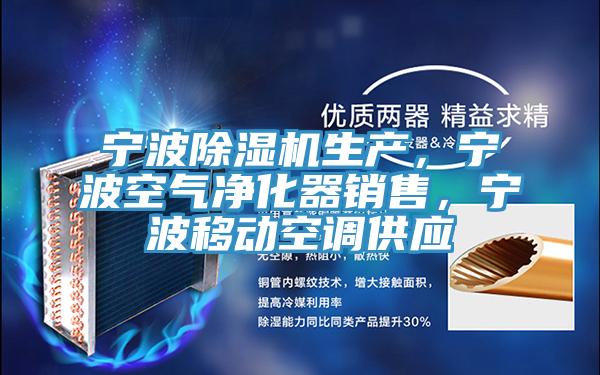 宁波91免费网站在线观看生产，宁波空气净化器销售，宁波移动空调供应