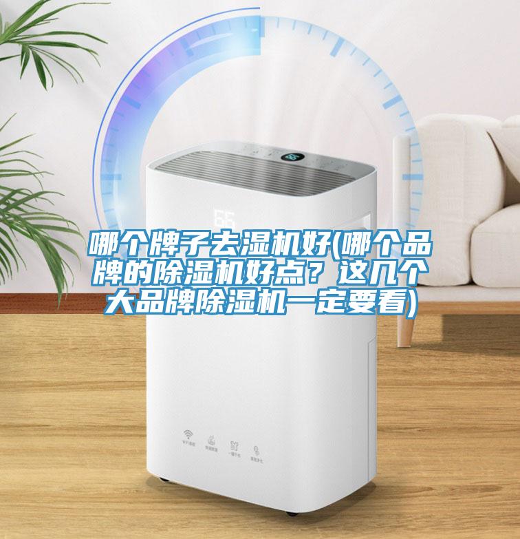 哪个牌子去湿机好(哪个品牌的91免费网站在线观看好点？这几个大品牌91免费网站在线观看一定要看)