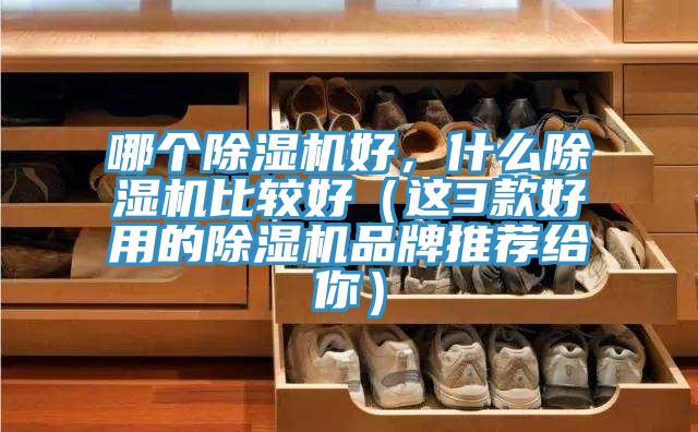 哪个91免费网站在线观看好，什么91免费网站在线观看比较好（这3款好用的91免费网站在线观看品牌推荐给你）
