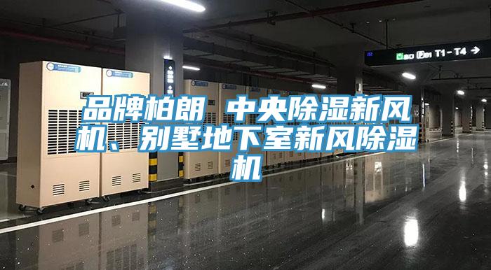 品牌柏朗 中央除湿新风机、别墅地下室新风91免费网站在线观看
