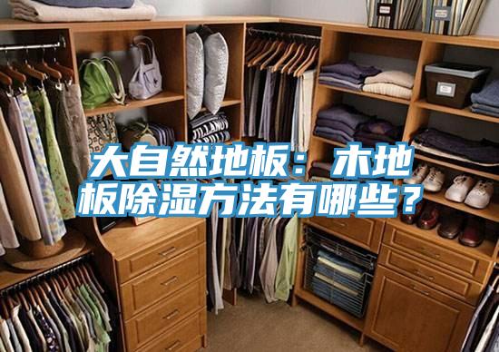 大自然地板：木地板除湿方法有哪些？